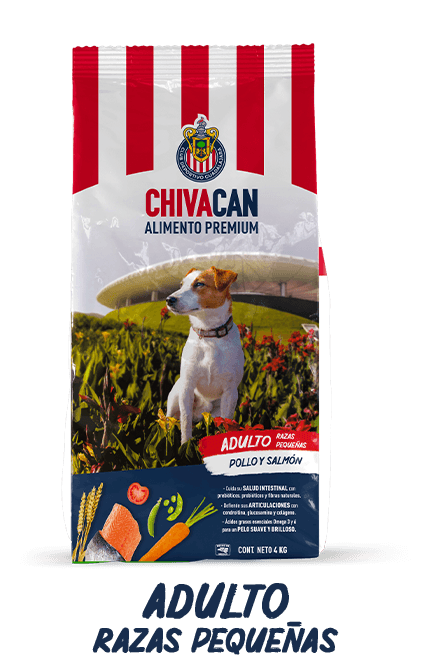 Bolsa de CHIVACAN Adulto Razas Pequeñas